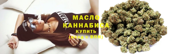 индика Армянск