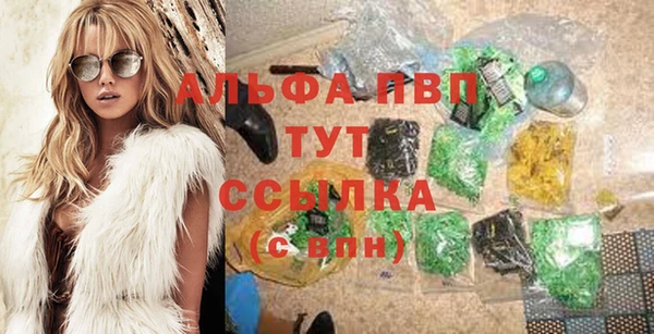 индика Армянск