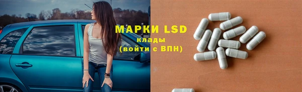 гашик Аркадак