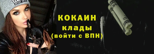 кокс Арсеньев