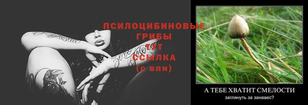 индика Армянск