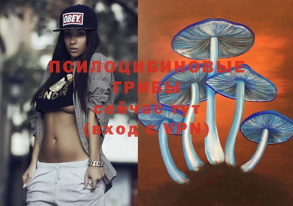 гашик Аркадак