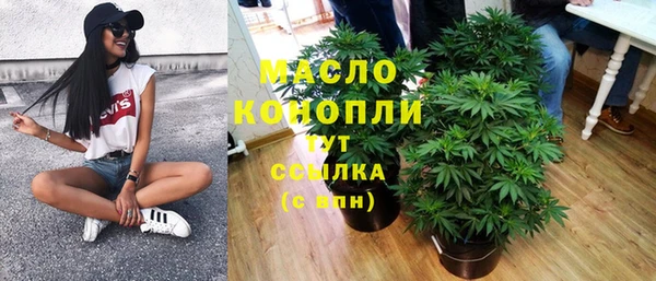 гашик Аркадак
