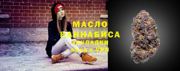 индика Армянск