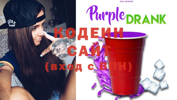 индика Армянск