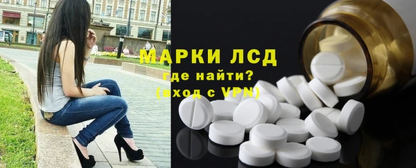 гашик Аркадак