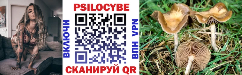 Галлюциногенные грибы GOLDEN TEACHER площадка наркотические препараты Армянск